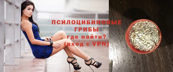 молекула духа Переславль-Залесский