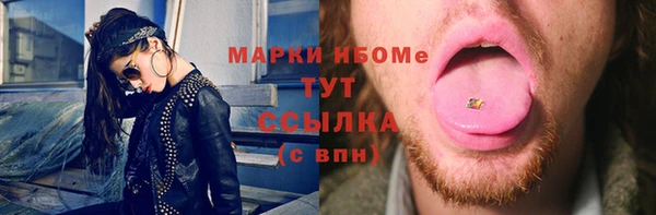 молекула духа Переславль-Залесский