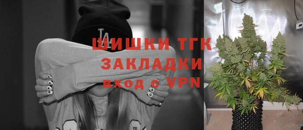 молекула духа Пересвет