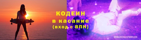 дурь Пестово