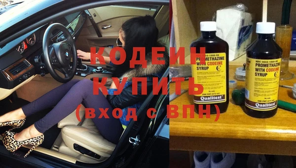 молекула духа Пересвет