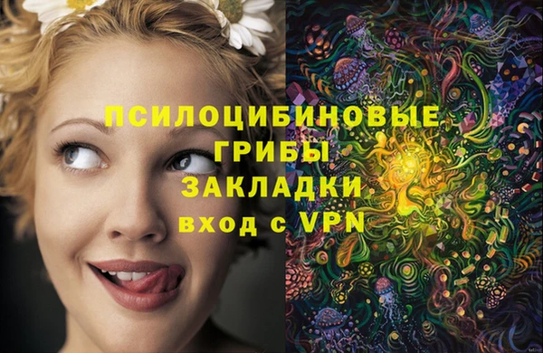 молекула духа Пересвет