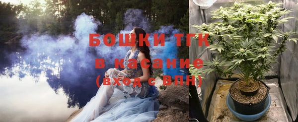дурь Пестово