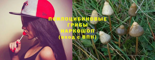 дурь Пестово