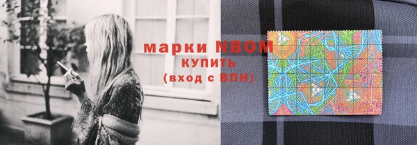 молекула духа Переславль-Залесский