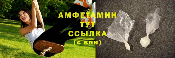 молекула духа Переславль-Залесский